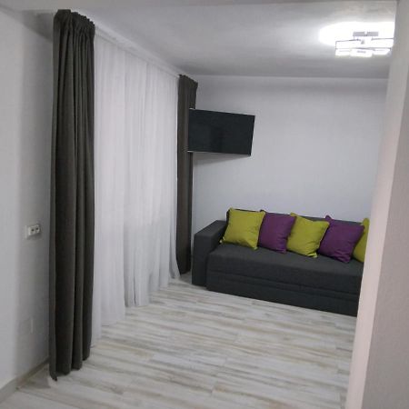 Luxury Apartament Curtea De Arges Exterior photo