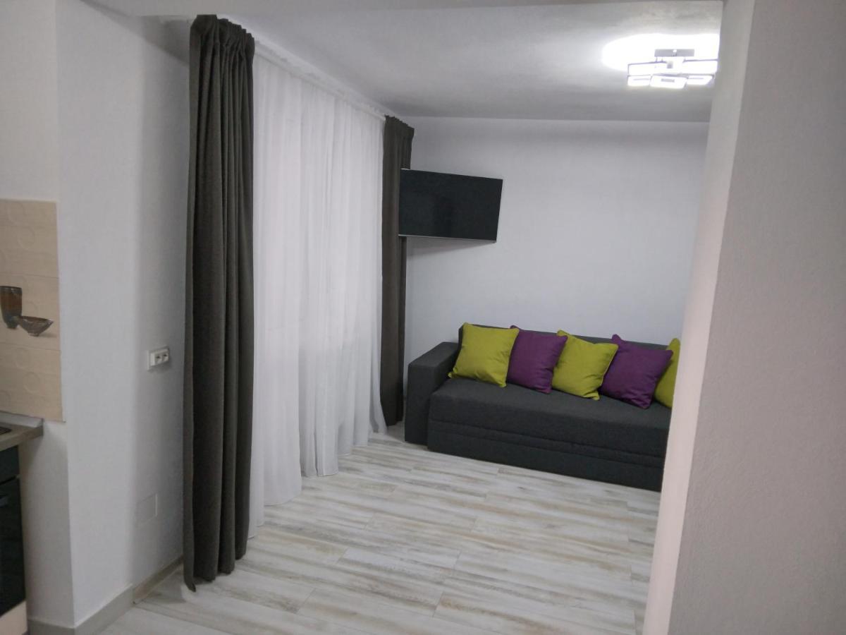 Luxury Apartament Curtea De Arges Exterior photo