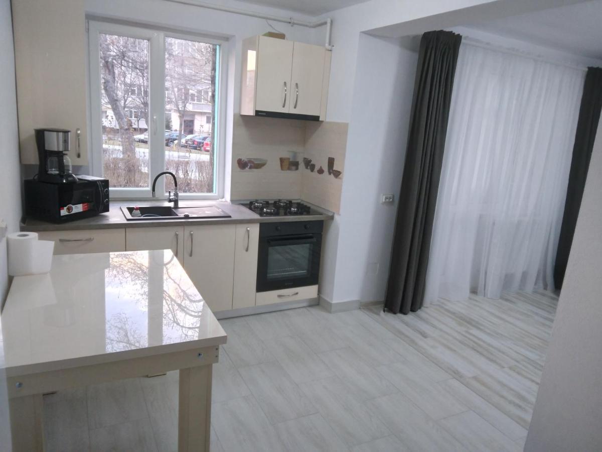 Luxury Apartament Curtea De Arges Exterior photo